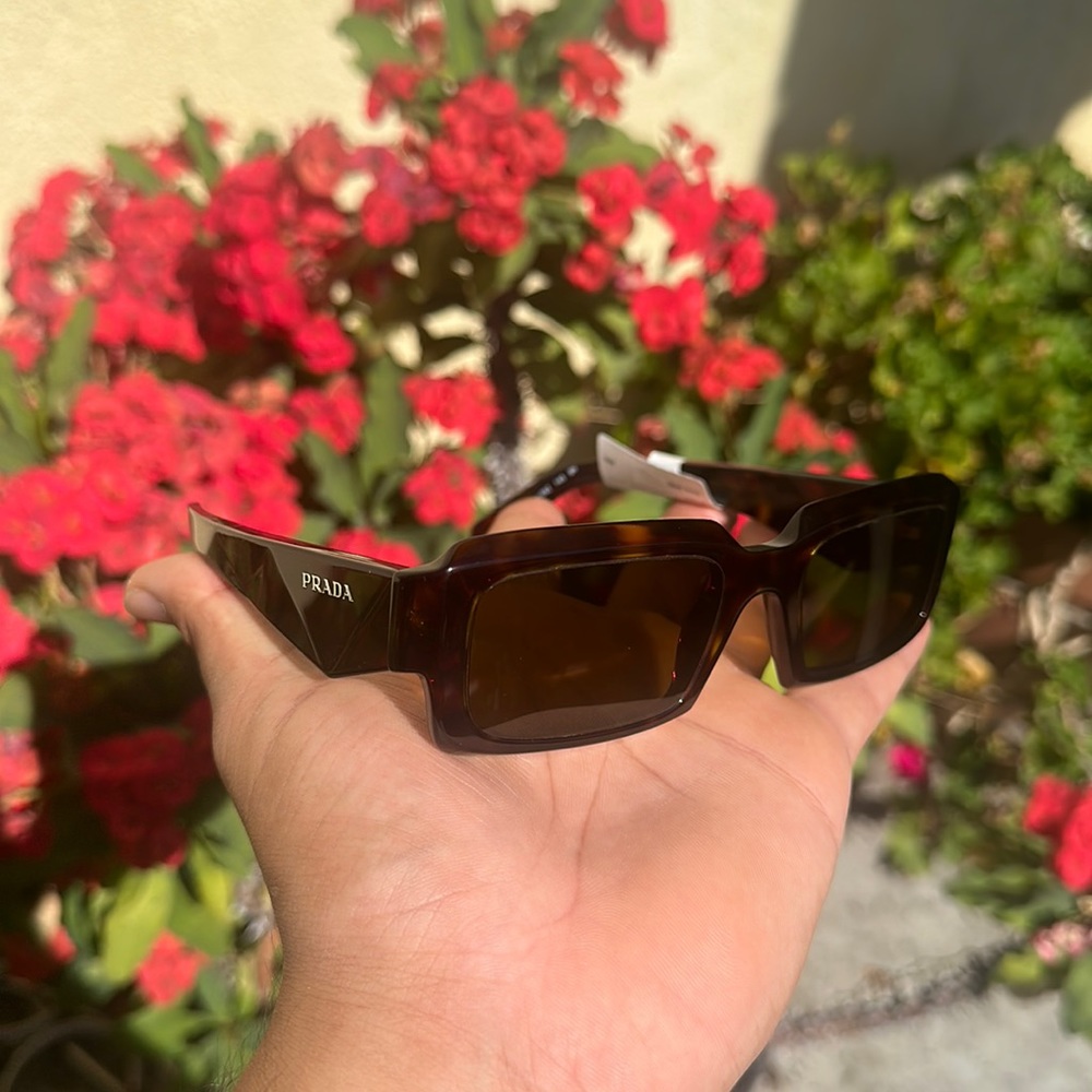 Prada Loden / Black Brown Sunglasses
